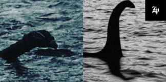 Loch Ness Monster Spotter Submits Sketch as Evidence